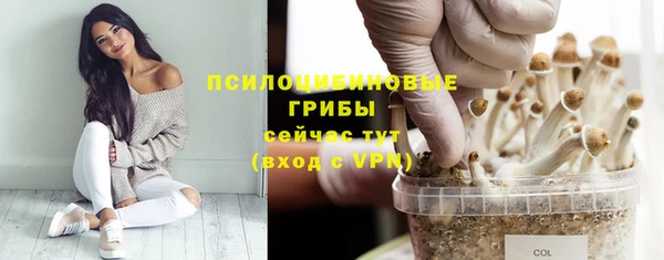 Альфа ПВП Аркадак