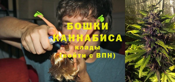 мет Арсеньев