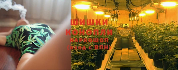 Альфа ПВП Аркадак