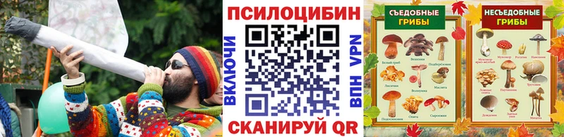 Купить закладки  Снежногорск  Галлюциногенные грибы Psilocybe 
