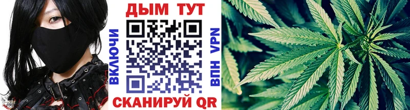 Купить закладки  Снежногорск  Бошки марихуана индика 